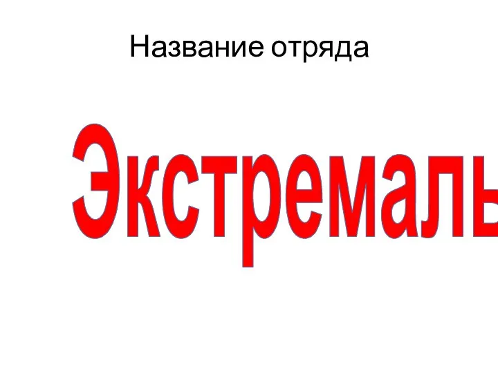 Название отряда Экстремалы