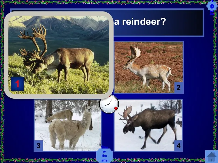 Which one is a reindeer? 1 4 3 2 Show the answer 10 points 1