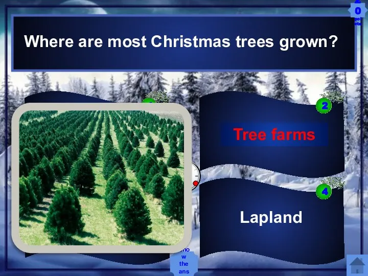 Where are most Christmas trees grown? Lapland Northern taiga Wild forests Tree
