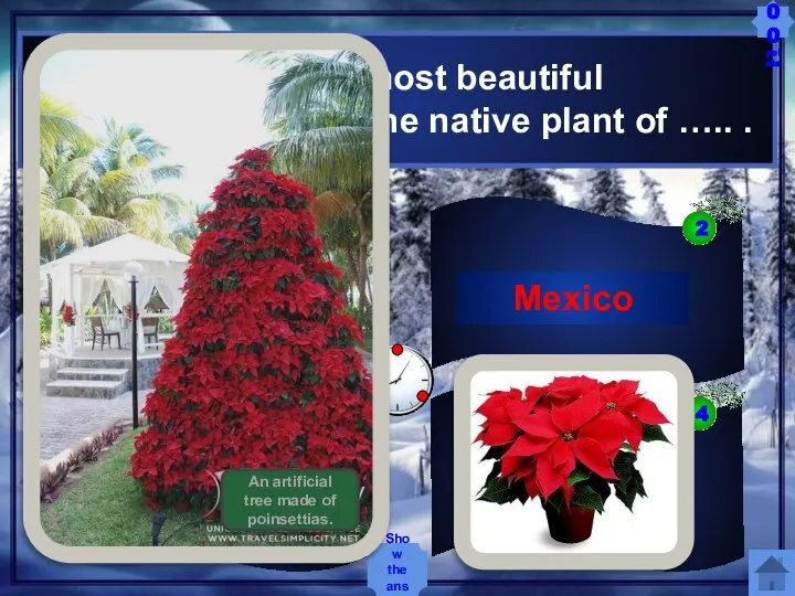 The poinsettia, the most beautiful Christmas plant, is the native plant of