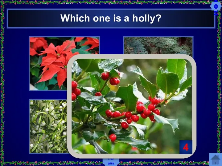 Which one is a holly? 1 4 3 2 Show the answer 20 points 4