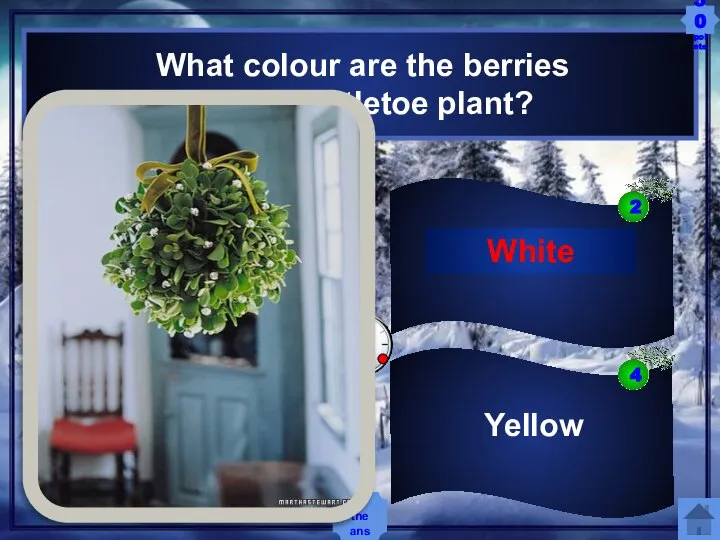 Red Green White Yellow What colour are the berries of the mistletoe