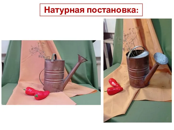 Натурная постановка: