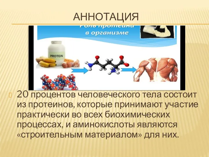 АННОТАЦИЯ 20 процентов человеческого тела состоит из протеинов, которые принимают участие практически