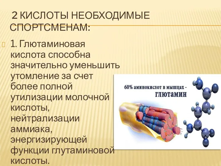 2 КИСЛОТЫ НЕОБХОДИМЫЕ СПОРТСМЕНАМ: 1. Глютаминовая кислота способна значительно уменьшить утомление за