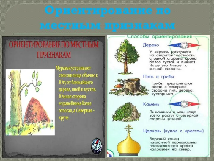 Ориентирование по местным признакам