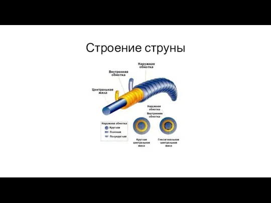 Строение струны