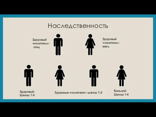 Наследственность Здоровый «носитель»: отец Здоровый «носитель»: мать Здоровый: Шансы 1:4 Здоровые «носители»: