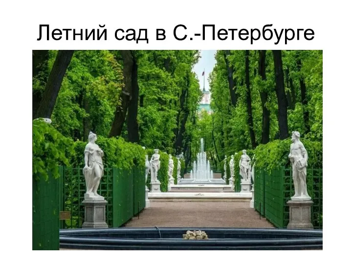 Летний сад в С.-Петербурге