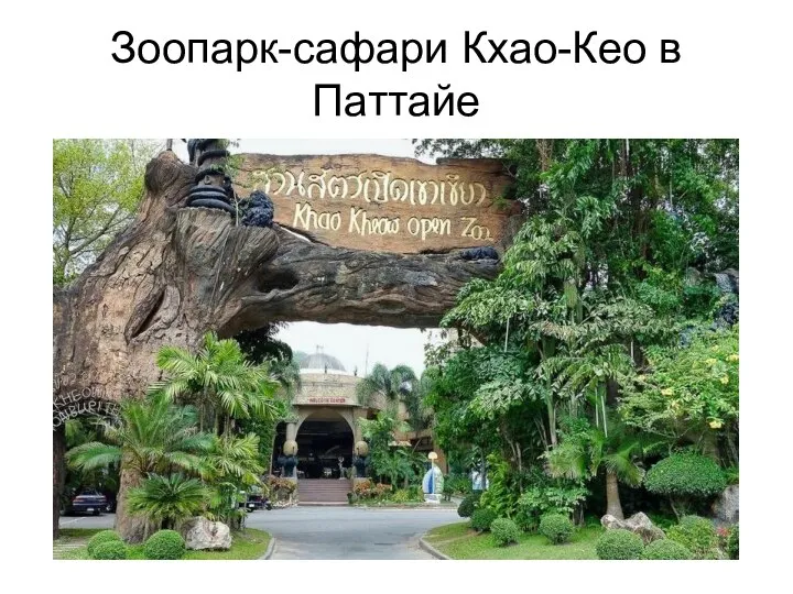 Зоопарк-сафари Кхао-Кео в Паттайе