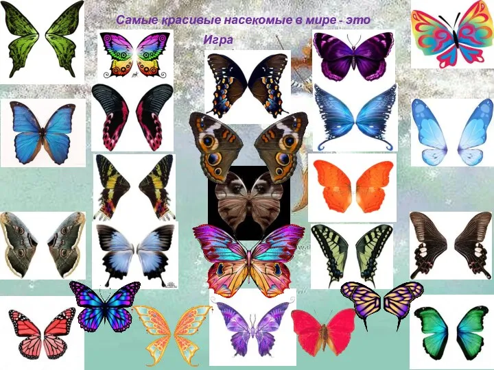 Самые красивые насекомые в мире - это бабочки Игра «Бабочки»