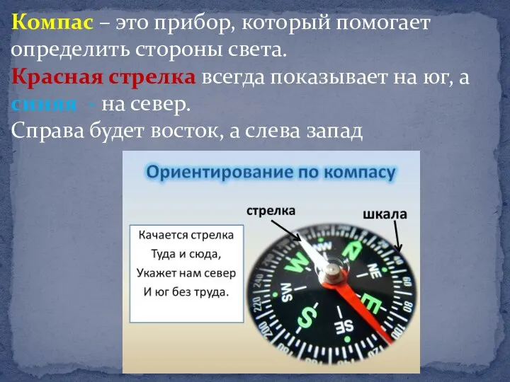 Компас – это прибор, который помогает определить стороны света. Красная стрелка всегда