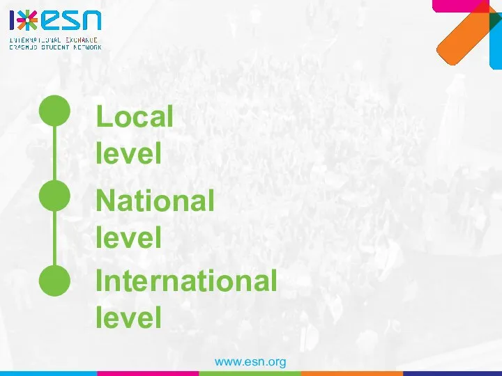 Local level National level International level