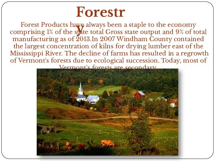 Forest Products have always been a staple to the economy comprising 1%
