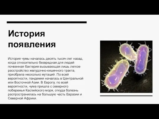 История появления История чумы началась десять тысяч лет назад, когда относительно безвредная