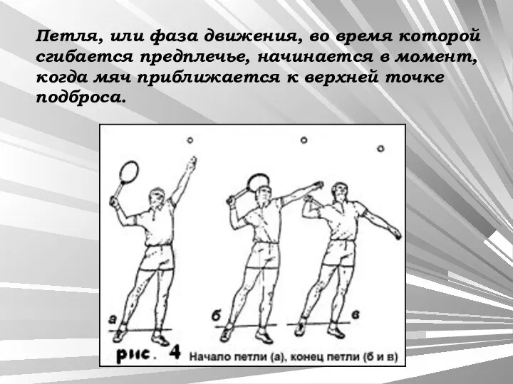 Петля, или фаза движения, во время которой сгибается предплечье, начинается в момент,