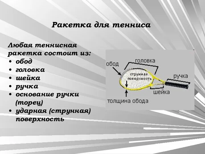 Любая теннисная ракетка состоит из: обод головка шейка ручка основание ручки (торец)