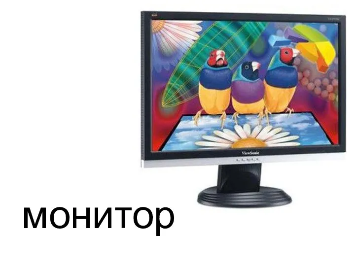 монитор