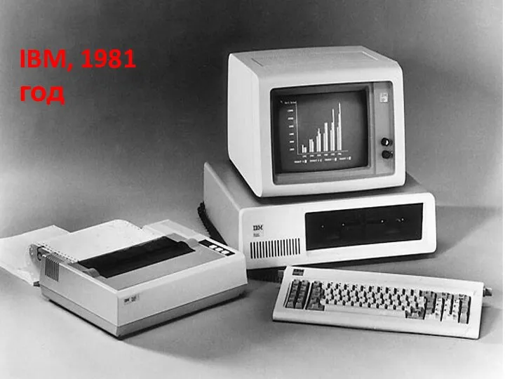 IBM, 1981 год