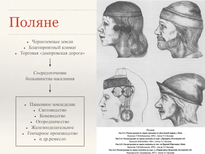 Поляне Черноземные земли Благоприятный климат Торговая «днепровская дорога» Сосредоточение большинства населения Пашенное