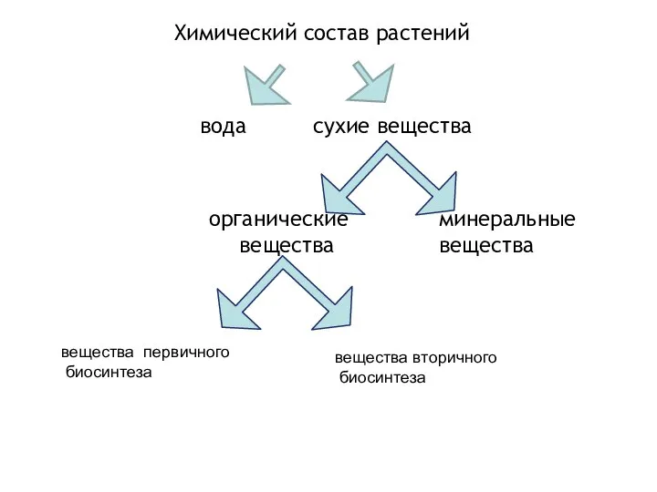 Химический состав растений вода сухие вещества минеральные вещества органические вещества вещества первичного биосинтеза вещества вторичного биосинтеза