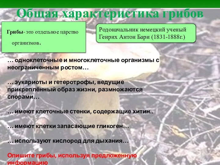 Общая характеристика грибов Грибы- это отдельное царство организмов. Родоначальник немецкий ученый Генрих