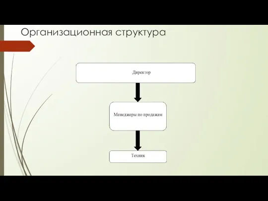 Организационная структура