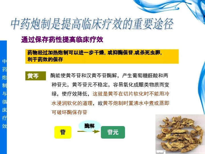 通过保存药性提高临床疗效 中药炮制是提高临床疗效的重要途径 药物经过加热炮制可以进一步干燥，或抑酶保苷,或杀死虫卵， 利于药效的保存 黄芩 酶能使黄芩苷和汉黄芩苷酶解，产生葡萄糖醛酸和两种苷元，黄芩苷元不稳定，容易氧化成醌类物质而变绿，使疗效降低，这就是黄芩在切片软化时不能用冷水浸润软化的道理，故黄芩炮制时置沸水中煮或蒸即可破坏酶保存苷 苷 苷元 酶解