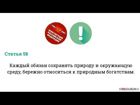 Каждый обязан сохранять природу и окружающую среду, бережно относиться к природным богатствам. Статья 58