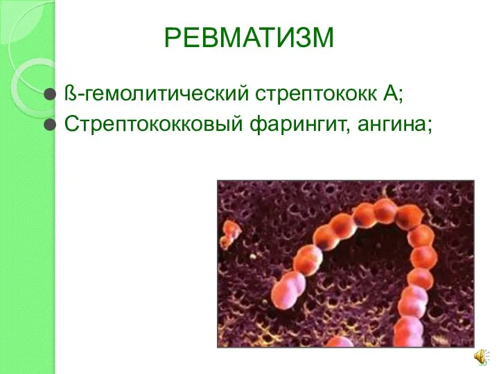 РЕВМАТИЗМ ß-гемолитический стрептококк А; Стрептококковый фарингит, ангина;