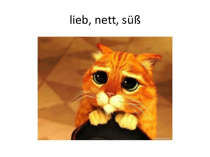 lieb, nett, süß