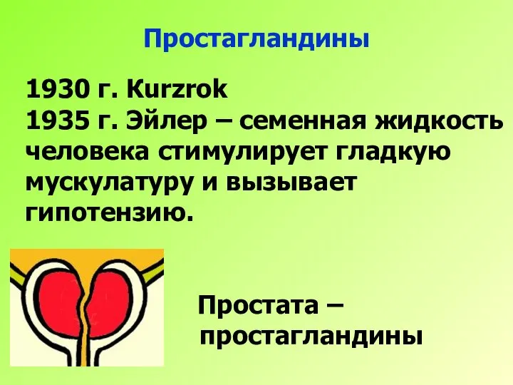 Простагландины 1930 г. Кurzrok 1935 г. Эйлер – семенная жидкость человека стимулирует