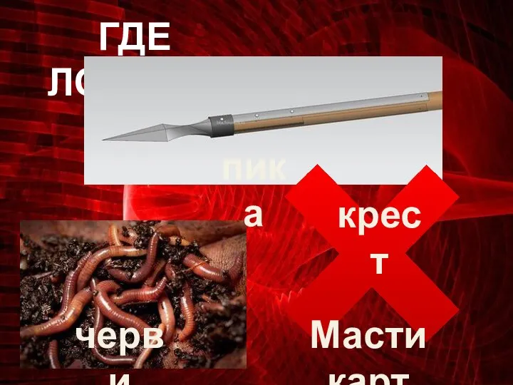 ГДЕ ЛОГИКА? Масти карт пика черви крест