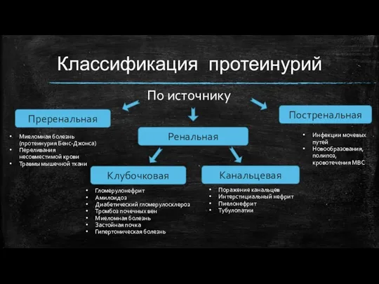 Классификация протеинурий Постренальная Ренальная Клубочковая Канальцевая Преренальная По источнику Миеломная болезнь (протеинурия