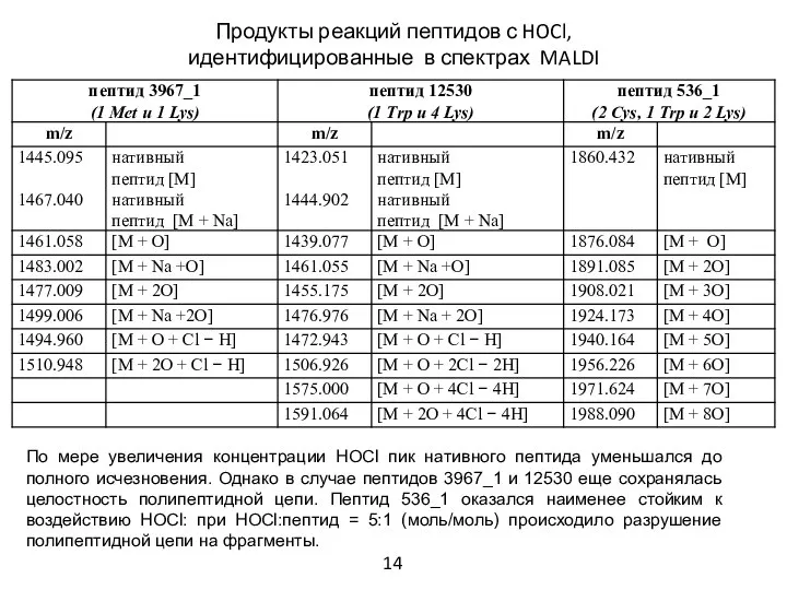 Продукты реакций пептидов с HOCl, идентифицированные в спектрах MALDI По мере увеличения