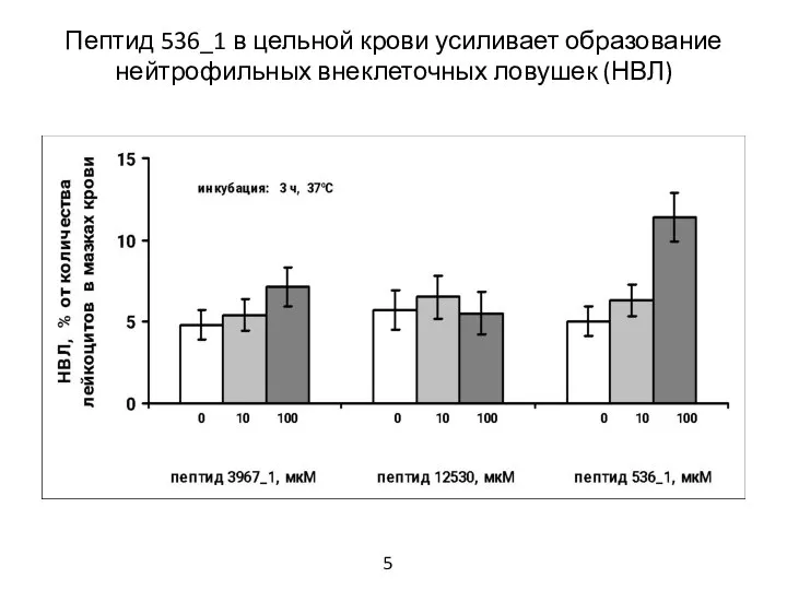 Пептид 536_1 в цельной крови усиливает образование нейтрофильных внеклеточных ловушек (НВЛ) 5