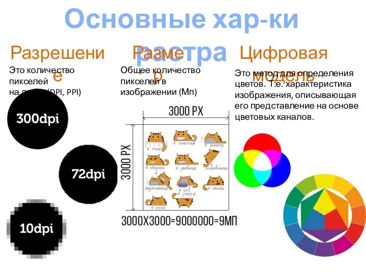 Основные хар-ки растра Разрешение Размер Цифровая модель Это количество пикселей на дюйм