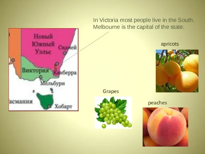 In Victoria most people live in the South. Melbourne is the capital