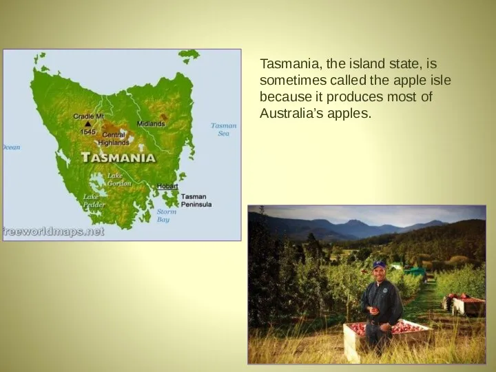 Tasmania, the island state, is sometimes called the apple isle because it