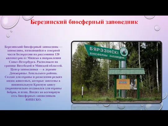Березинский биосферный заповедник — заповедник, находящийся в северной части Белоруссии на расстоянии