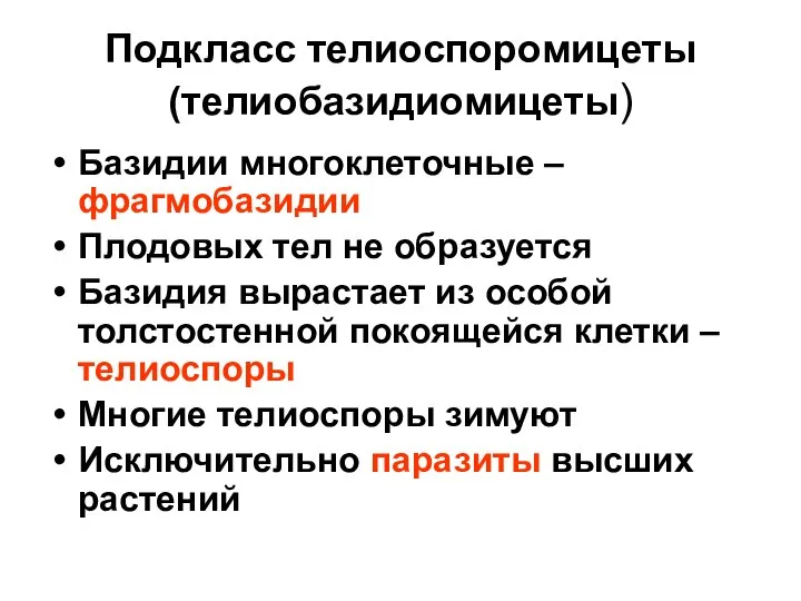 Подкласс телиоспоромицеты (телиобазидиомицеты) Базидии многоклеточные – фрагмобазидии Плодовых тел не образуется Базидия