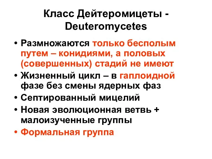 Класс Дейтеромицеты - Deuteromycetes Размножаются только бесполым путем – конидиями, а половых