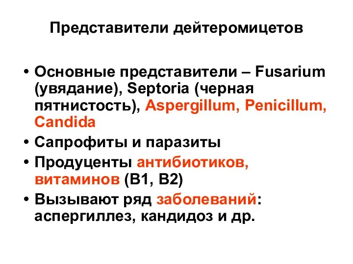 Представители дейтеромицетов Основные представители – Fusarium (увядание), Septoria (черная пятнистость), Aspergillum, Penicillum,