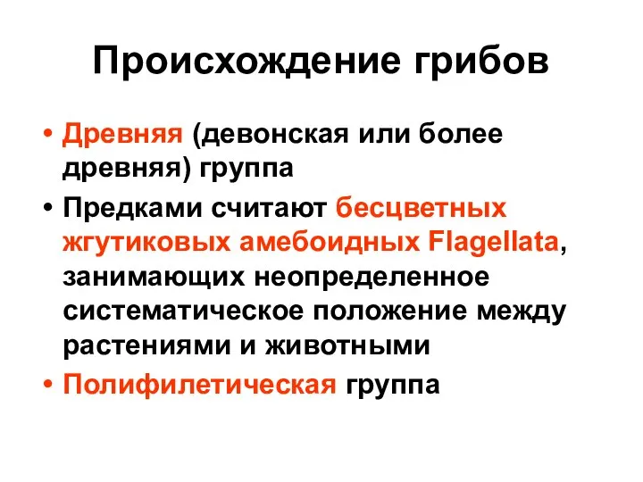 Происхождение грибов Древняя (девонская или более древняя) группа Предками считают бесцветных жгутиковых