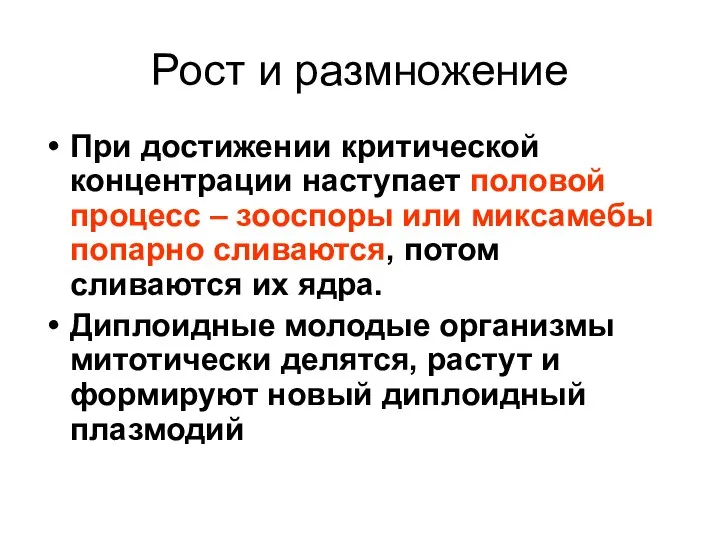 Рост и размножение При достижении критической концентрации наступает половой процесс – зооспоры