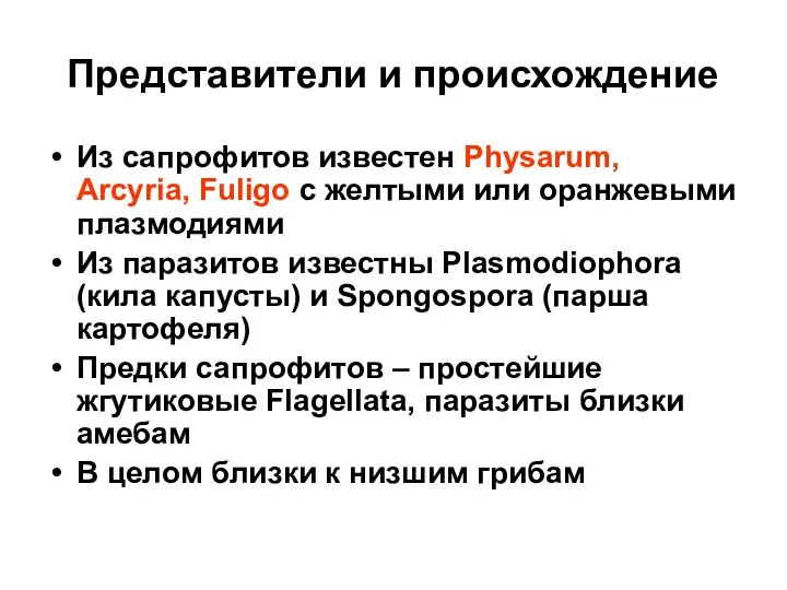 Представители и происхождение Из сапрофитов известен Physarum, Arcyria, Fuligo c желтыми или