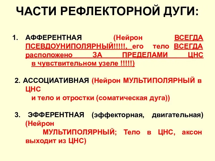 ЧАСТИ РЕФЛЕКТОРНОЙ ДУГИ: АФФЕРЕНТНАЯ (Нейрон ВСЕГДА ПСЕВДОУНИПОЛЯРНЫЙ!!!!!, его тело ВСЕГДА расположено ЗА