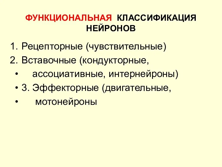 ФУНКЦИОНАЛЬНАЯ КЛАССИФИКАЦИЯ НЕЙРОНОВ Рецепторные (чувствительные) Вставочные (кондукторные, ассоциативные, интернейроны) 3. Эффекторные (двигательные, мотонейроны