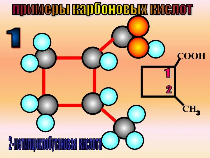 СООН СН3 2-метилциклобутановая кислота 1 2 примеры карбоновых кислот 1