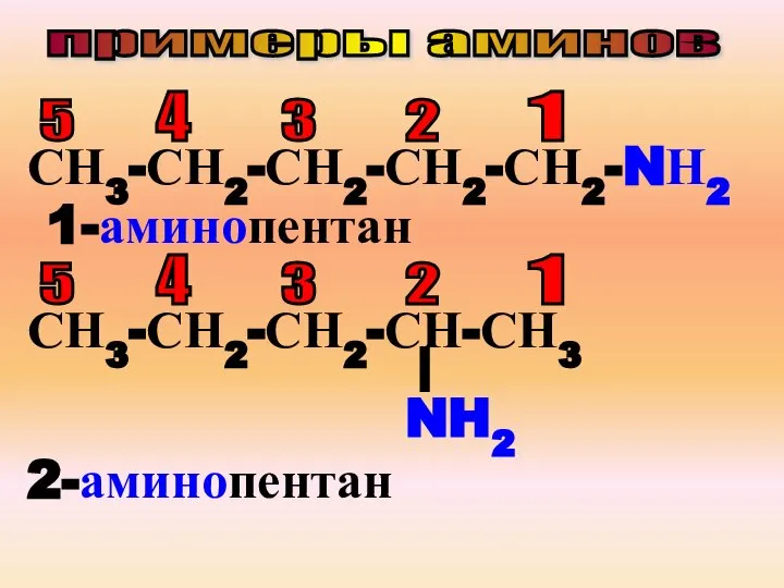 примеры аминов СН3-СН2-СН2-СН2-СН2-NН2 5 4 3 2 1 1-аминопентан СН3-СН2-СН2-СН-СН3 5 4